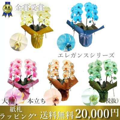 エレガンスシリーズ2本立ち