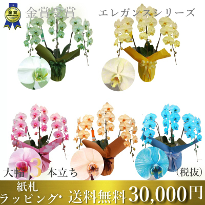 エレガンスシリーズ3本立ち